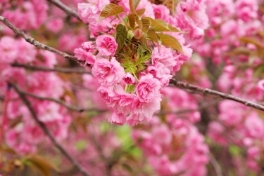 温州永嘉5线下个人借款平台一站式服务，轻松解决资金难题