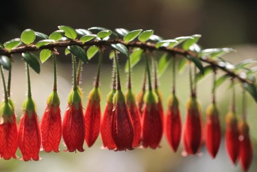 温州永嘉5零用贷短借：轻松解决临时资金需求