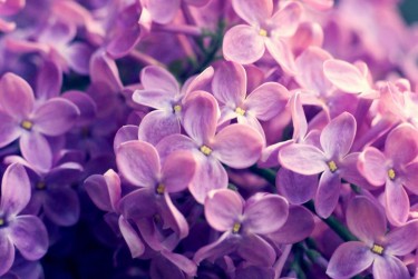 温州永嘉5企业急用钱贷款攻略：快速融资解燃眉之急